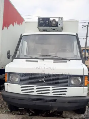 Benz 207 Cooler Van