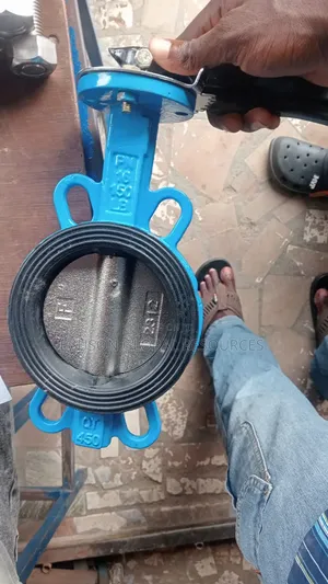 Butterfly Valve