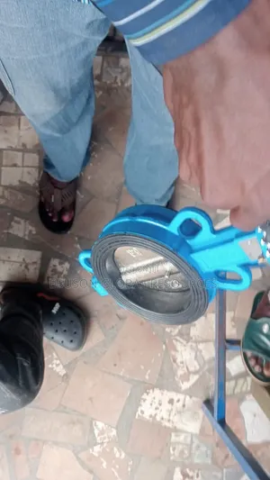 Butterfly Valve