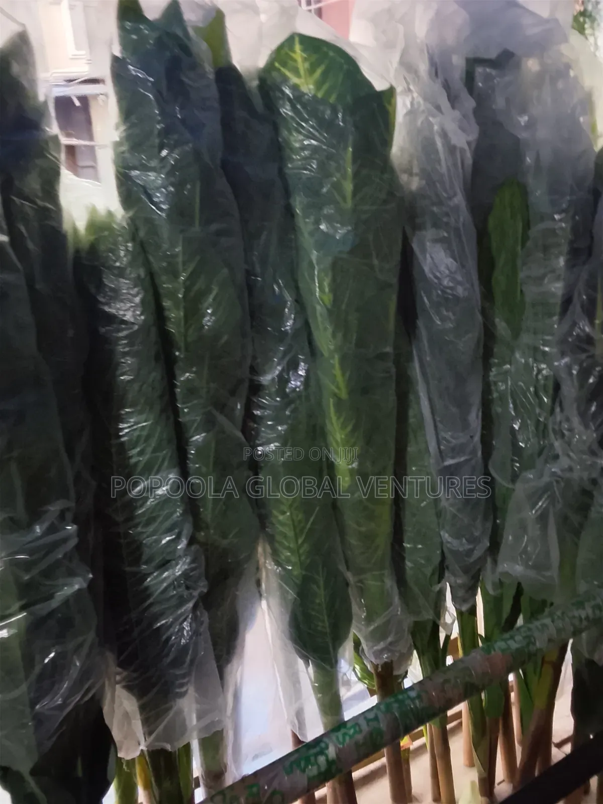 Bamboo Flowers