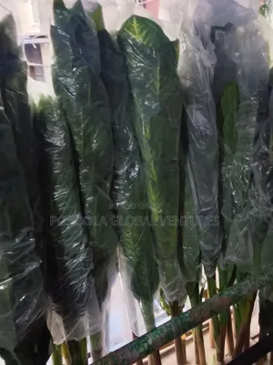 Bamboo Flowers