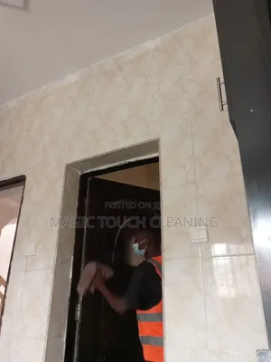 Door Cleaning and Related Maintenance
