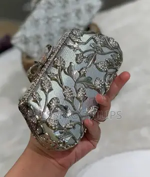 Silver Luxury Clutch Purse