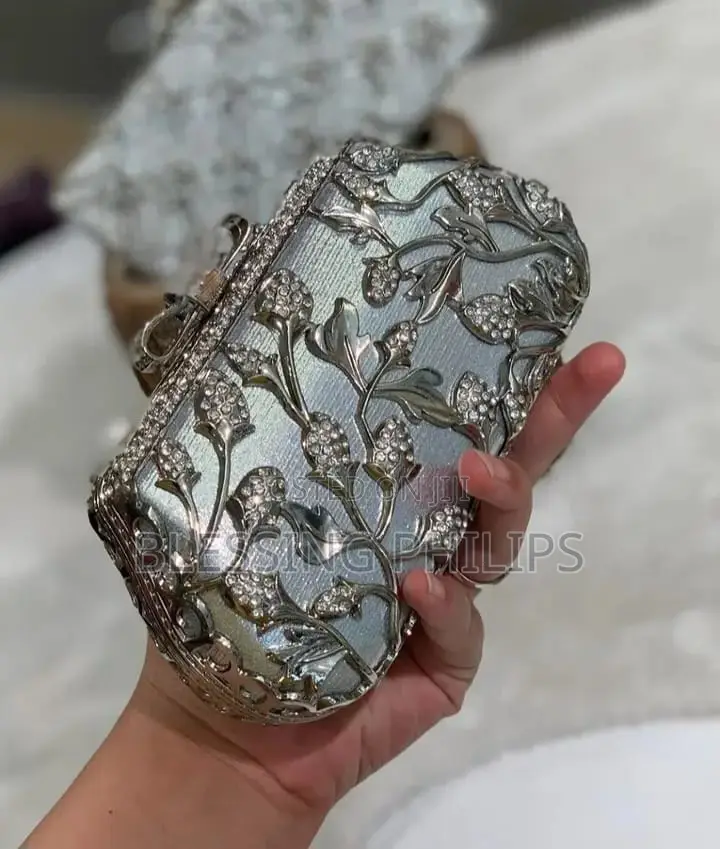 Silver Luxury Clutch Purse