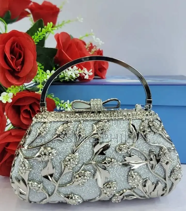 Silver Luxury Clutch Purse