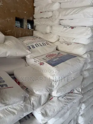 Future Calcium Carbonate