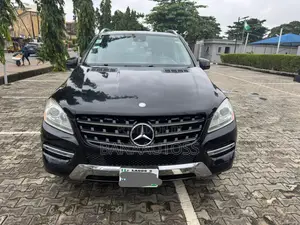 Mercedes-Benz M Class 2015 Black