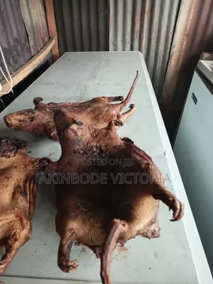 Roasted Bush Meat