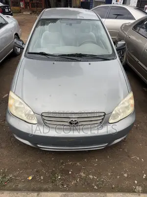 Toyota Corolla 2004 Gray