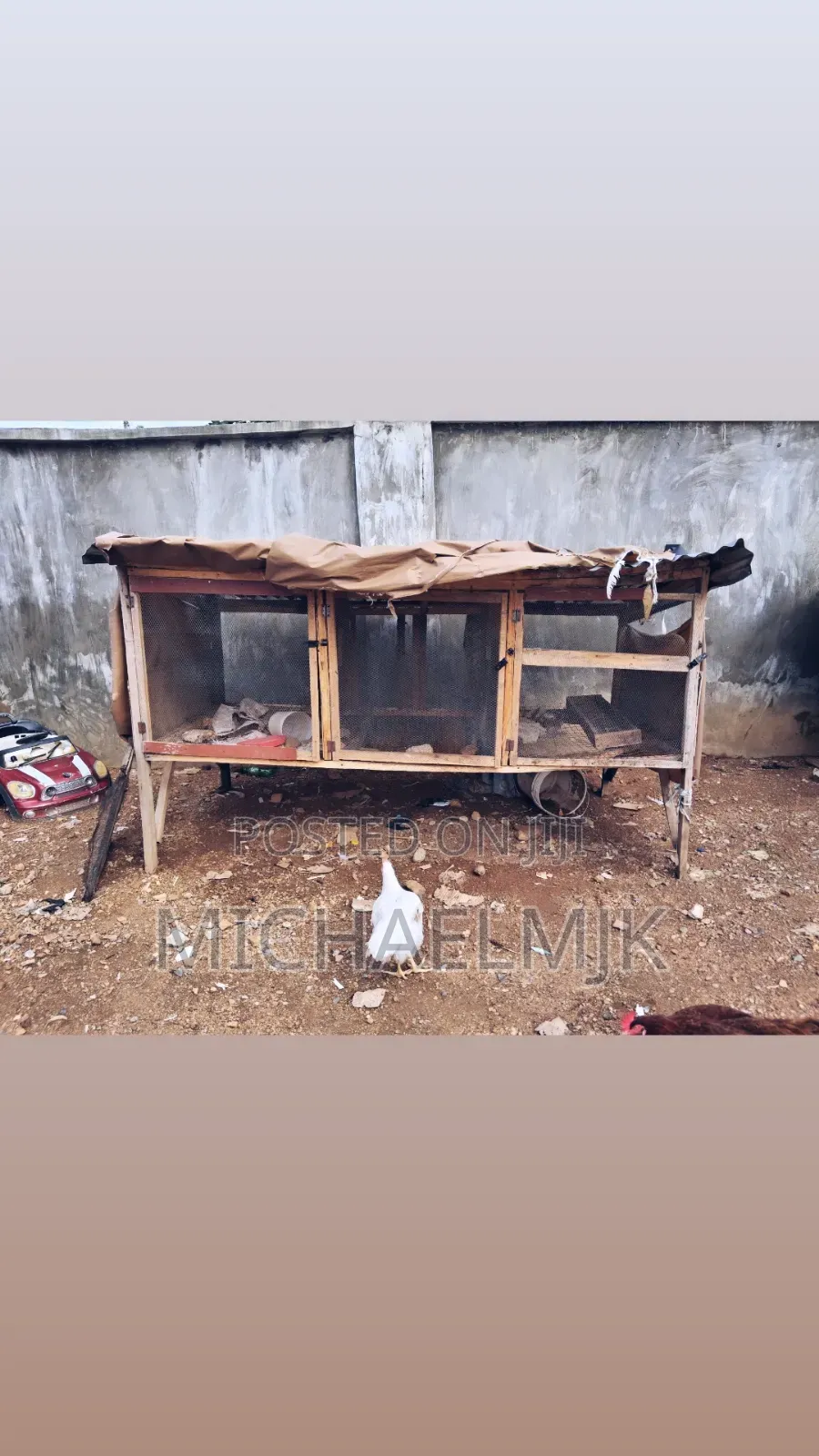 Large Poultry Cage