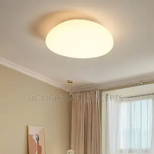 Modern Simple Oval Shape Led Pebble Ceiling Light.