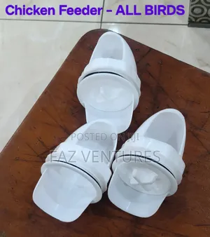 Birds Cup Feeders