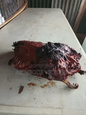 Roasted and Frozen Bushmeat