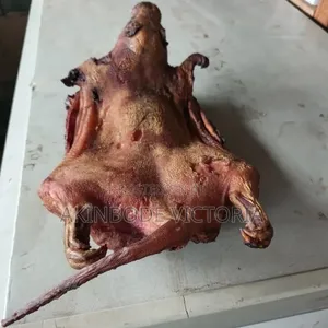 Roasted and Frozen Bushmeat