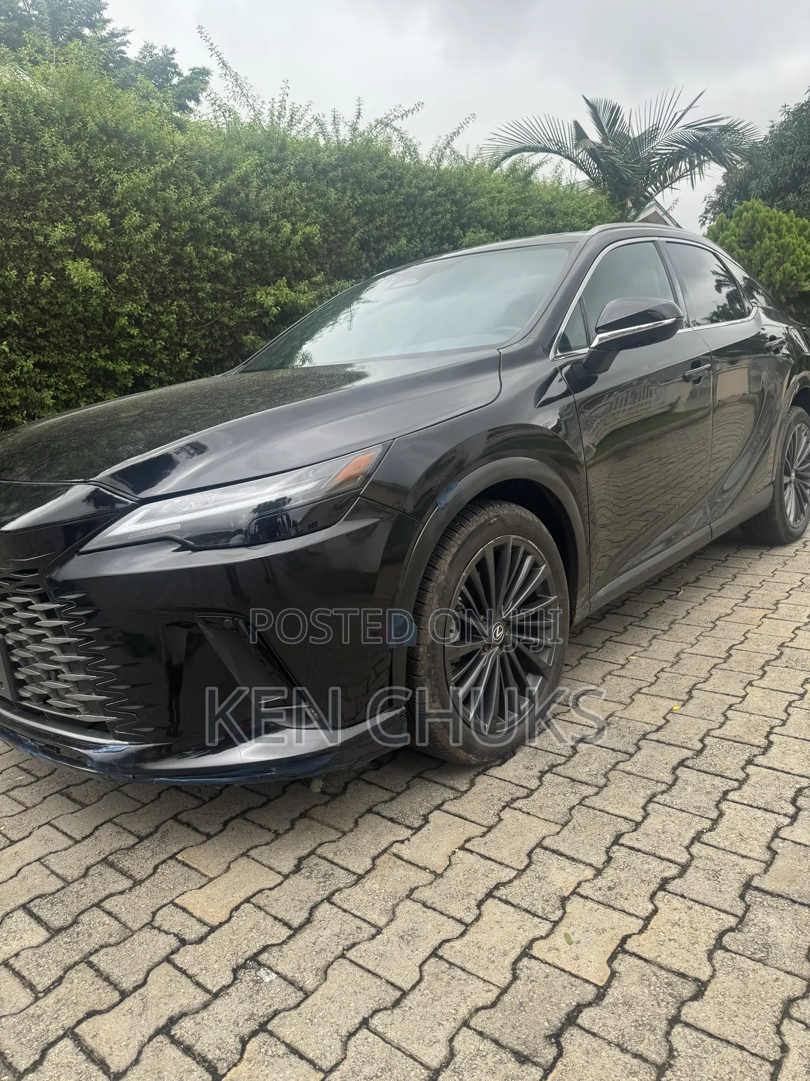 Lexus RX 2025 Black
