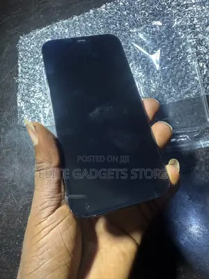 Apple iPhone 12 Pro Max 128 GB Gray