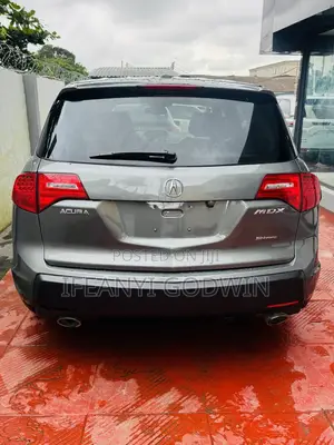 Acura MDX 2008 Gray