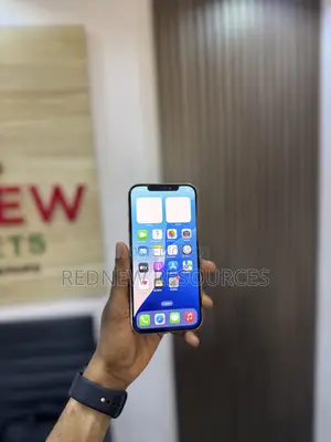 Apple iPhone 12 Pro Max 256 GB Gold