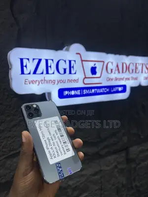 Apple iPhone 12 Pro 256 GB Gray