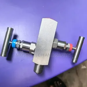 Stainless Steel 2-Way Block and Bleed Valve Manifold | Industrial