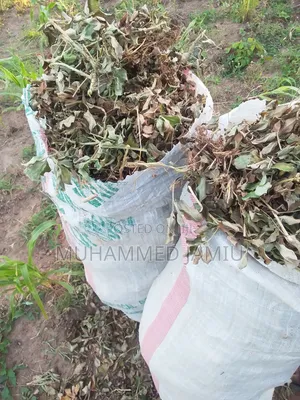 Animal Feed: Groundnut Hay (Arawa)