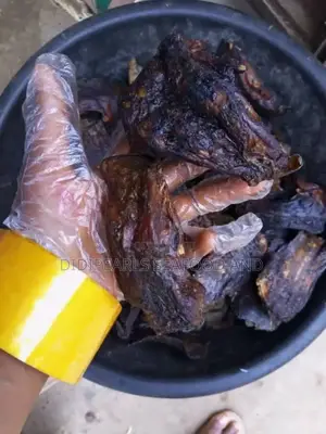 Premium Asa Fish AKA King of Fishes