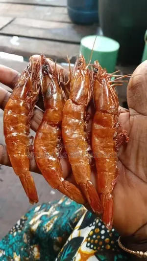 Dried Yummy Strimps