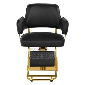 Salon Chair/ Spa Chair