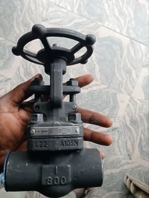 1x800 Gate Valve SW