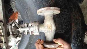 3/4x300 Globe Valve RF