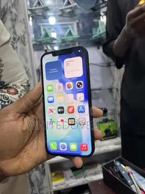 Apple iPhone 12 Pro Max 256 GB Blue