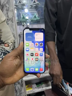 Apple iPhone 12 Pro Max 256 GB Blue