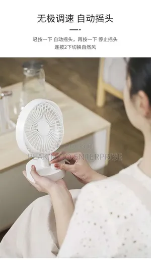 Rechargeable Fan