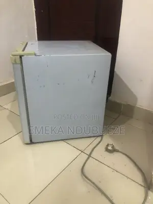 Small Bedside Fridge Polystar