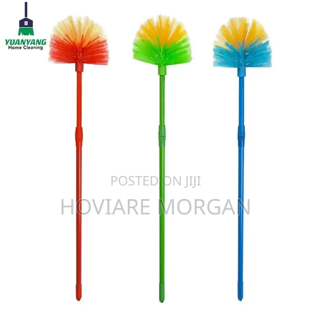 Cobweb Remover