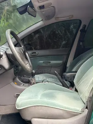 Peugeot 206 2004 Green