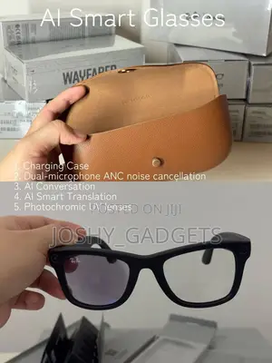Meta Ai Glasses