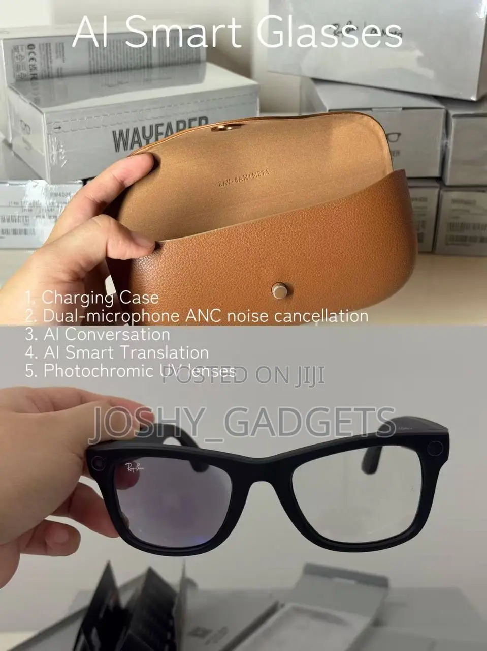 Meta Ai Glasses