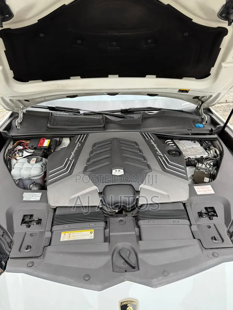 Lamborghini Urus Base 2019 White