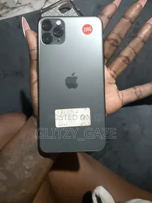 Apple iPhone 11 Pro Max 256 GB Gray