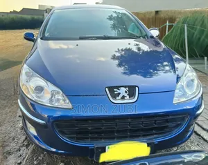 Peugeot 407 2009 Blue