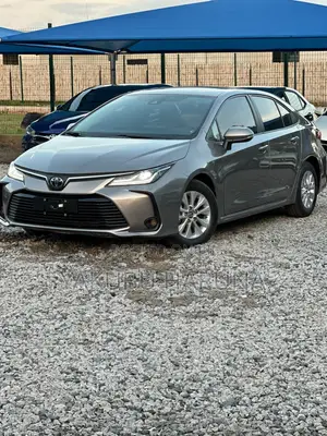 Toyota Corolla 2023 Gray
