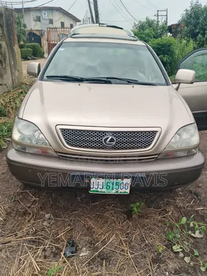 Lexus RX 2002 Brown