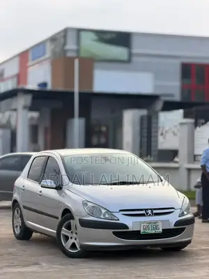 Peugeot 307 2007 Silver