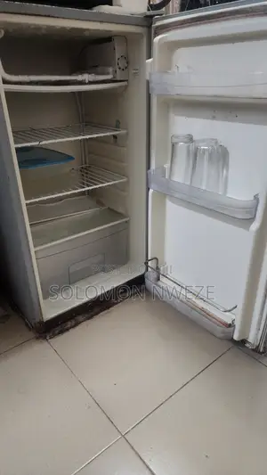 Fridge With Freezer Compartment