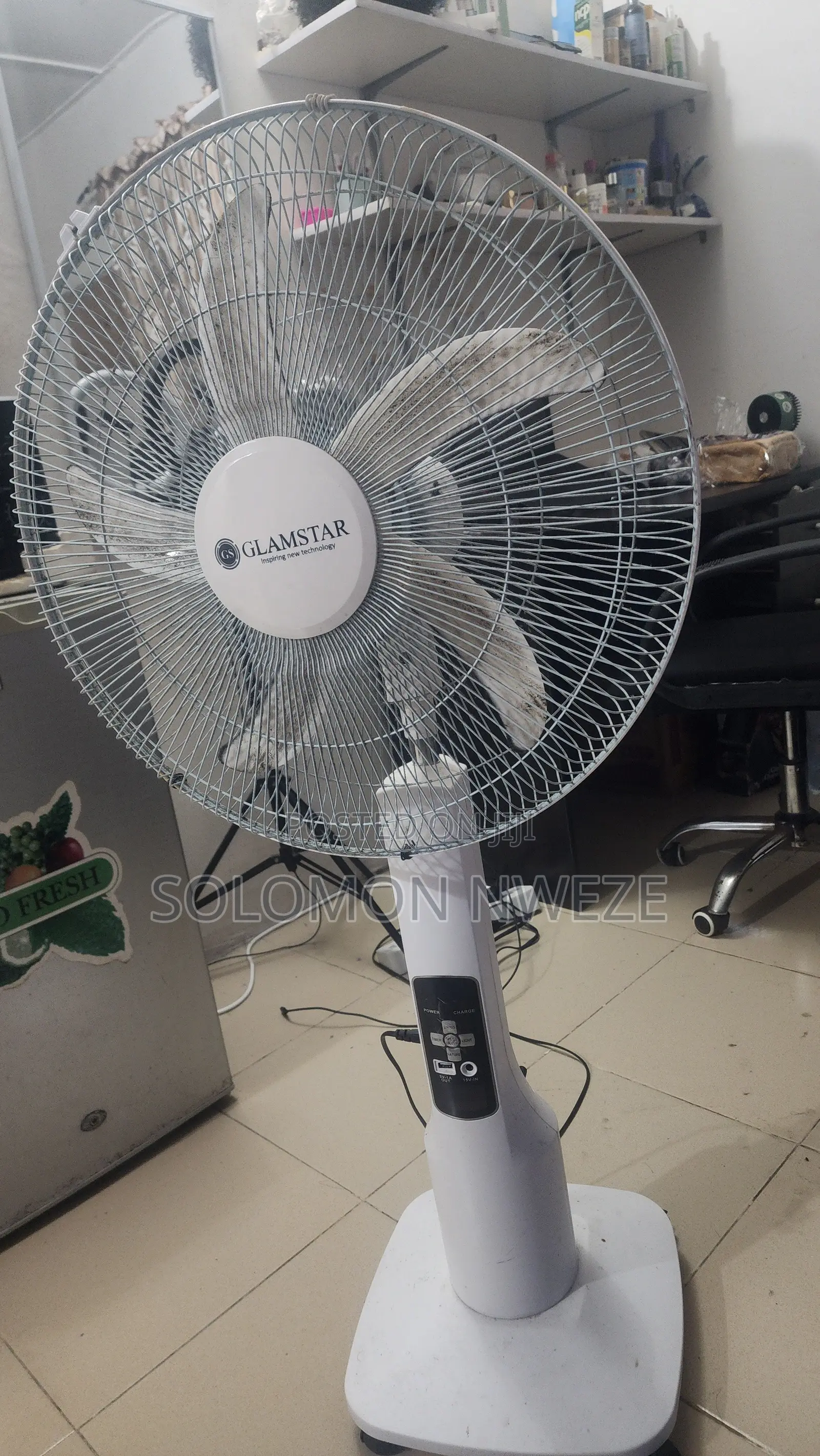 Standing Fan