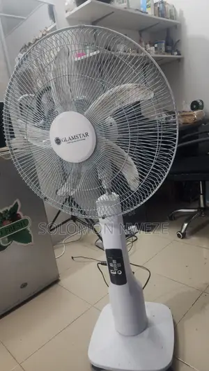 Standing Fan