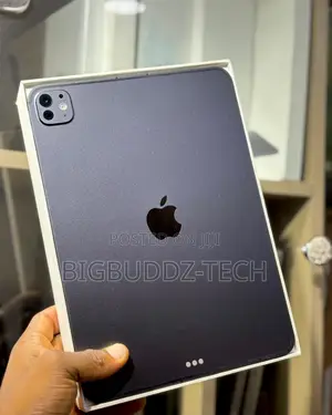 Apple iPad Pro 11 (2024) 256 GB Gray