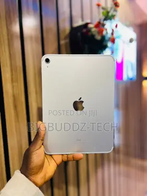 Apple iPad Pro 11 (2024) 256 GB Gray
