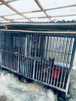 Strong Iron Kennels